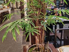 -鸢飞潍坊菜馆(鸢飞大酒店)