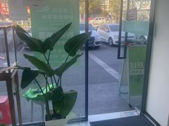 -自然之声助听器·呼吸机(康桥旗舰店)