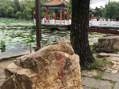 -长春市南湖公园