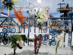 -广州热雪奇迹