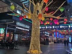 -HELLO 27 意面·沙拉·帕尼尼