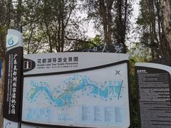 -广东花都湖国家湿地公园