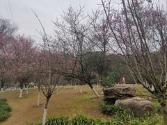 -重庆园博园