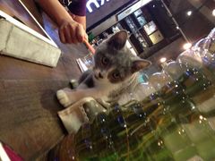 iphone_upload_pic-MIKAKU(万达广场上海宝山店)