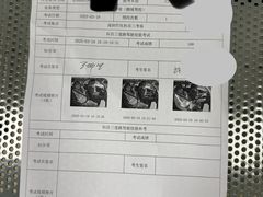 -鹏城驾校·学车·陪驾(景田店)