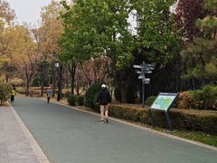 -迎泽公园