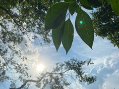-东湖落雁景区