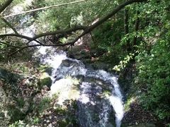 -湖南嵩云山国家森林公园