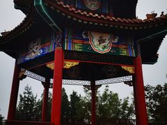 -白水寺森林公园