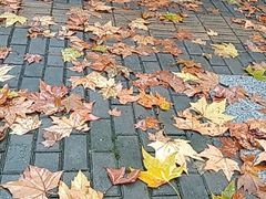 -建德花园海棠苑