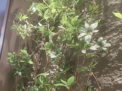 -纪林菜馆·博山菜老字号(华光路店)