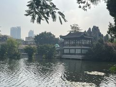 -荔湾湖公园
