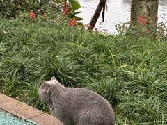 -重庆彩云湖湿地公园