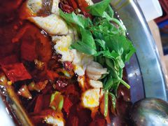 -蛙蛙鸡冷锅鱼(温江店)