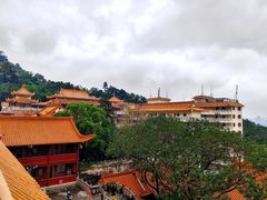 -深圳仙湖植物园