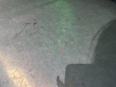 -新星KTV(友谊国际大厦店)