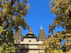 -北京石刻艺术博物馆(五塔寺)