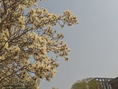 -星光教育超市(传媒大学店)