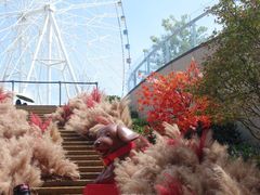 -南昌之星摩天轮