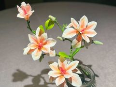 -满堂匠心川宴·私房菜(天府三街店)