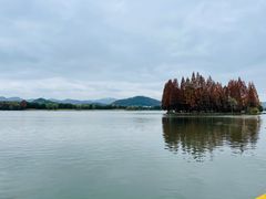 -柯岩风景区