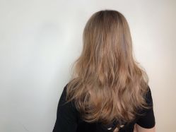 -SIX Hair Consultant