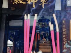 -子昂故里文化旅游区