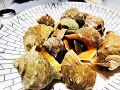 海螺-渔民船说·北塘海鲜·天津菜·海肠捞饭(北塘古镇店)
