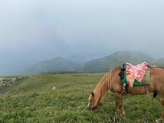 -灵山