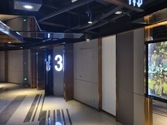 -上海金逸影城(静安大悦城店（原新恒星影城）)