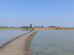 -盐城丹顶鹤湿地生态旅游区