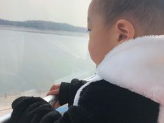 -琴岛之星摩天轮