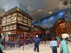 -长沙湘江欢乐雪域