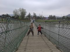 -羊亭河湿地公园