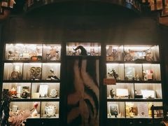 -雪灵魔法世界SHELLY’S TAROT(大良桂畔里店)