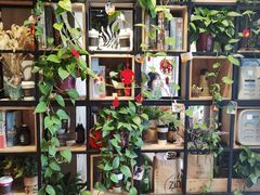 -ZING COFFEE 镜咖啡