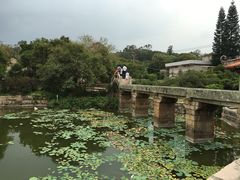 -赵家堡