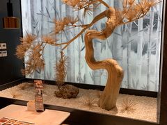 -茅庐川菜(青岛凯德店)