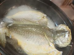 泉水黄花鱼-锦園(伊势丹美食城店)