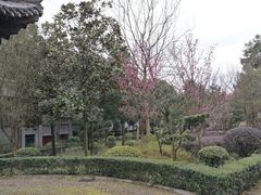 -三峡梯城