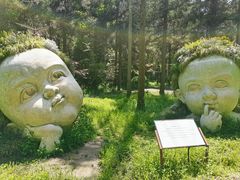 -东平国家森林公园