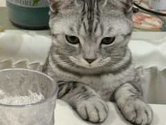 -心仪动物医院·牙专科·肿瘤·心脏科(西客站院)