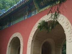 -灵谷景区