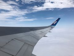 -全日本空输株式会社(上海办事处)