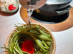 -芸山季·云南野生菌火锅(人民广场来福士店)