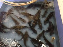 -金明姬铁锅炖(东坝店)