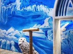 -成都浩海立方海洋公园