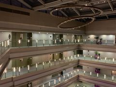 -南京禄口机场雅高铂尔曼大酒店