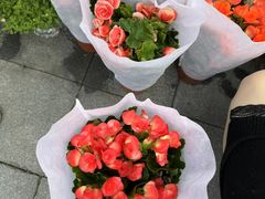 -香蜜公园