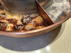 -东镇老火锅(长春路首店)